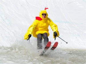 Skiing Chicken